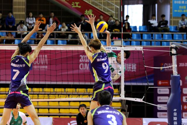 a244feb7752d48b1adadddf883a9b766.jpg a244feb7752d48b1adadddf883a9b766.jpg